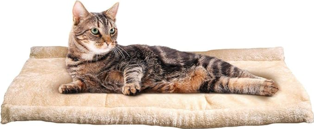 ALFOMBRA Y CAMA TUBULAR PARA GATOS
