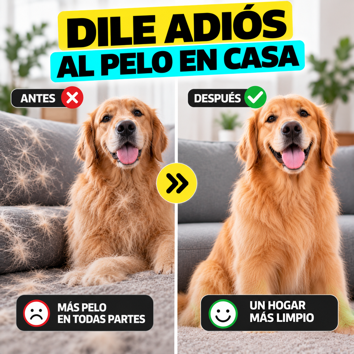 Pack 3 Guantes Quita Pelos PetClean™ (1 Unidad)