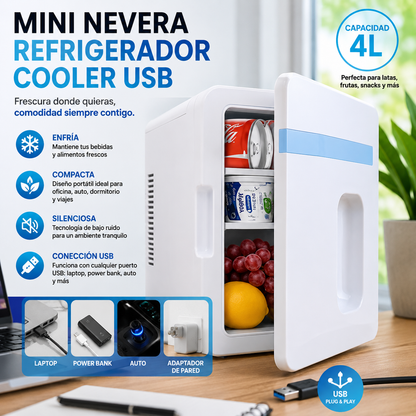 Mini Nevera Refrigerador Cooler USB