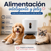 🐾 Dispensador Automático de Alimento para Mascotas 🐾