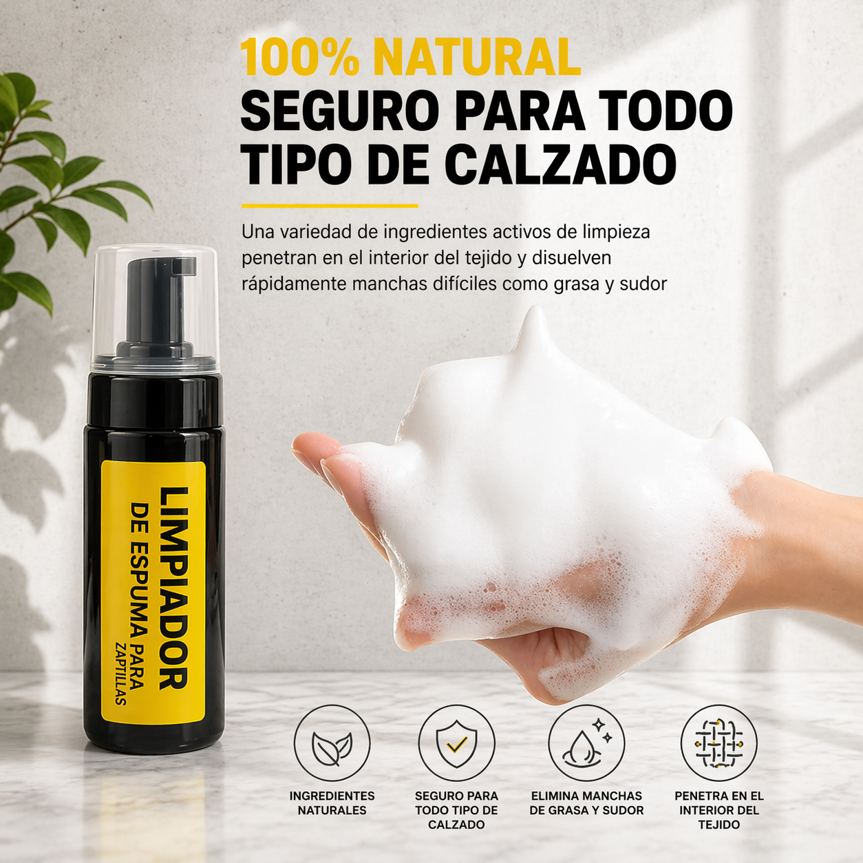 Cepillo Para Kit De Limpieza De Zapatos