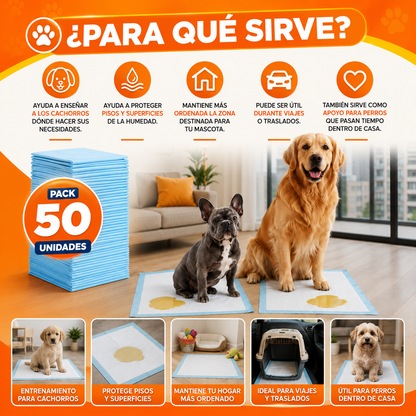 Pack 50 Sabanillas Absorbentes 60x60