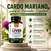 Liver Detox – Limpieza Hepática
