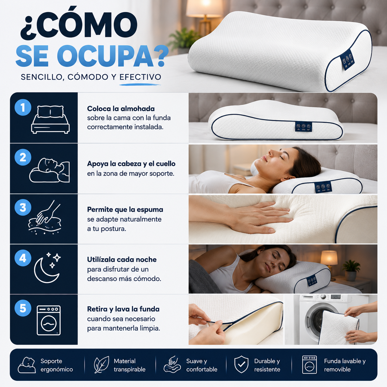 Despierta Renovado Cada Mañana