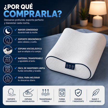 Despierta Renovado Cada Mañana