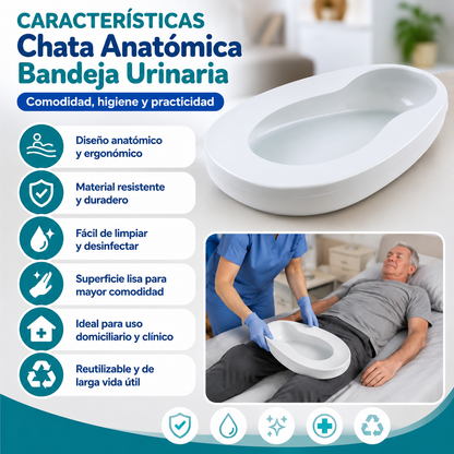 🩺 Chata Anatómica Bandeja Urinaria
