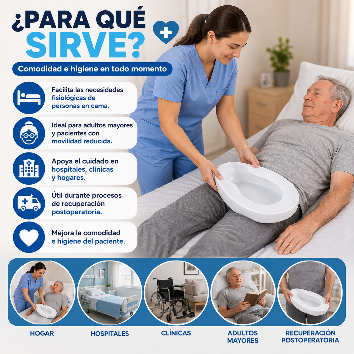 🩺 Chata Anatómica Bandeja Urinaria