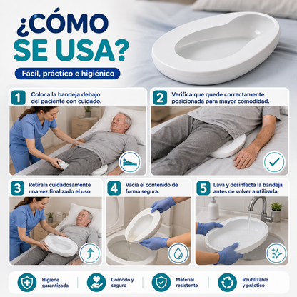 🩺 Chata Anatómica Bandeja Urinaria