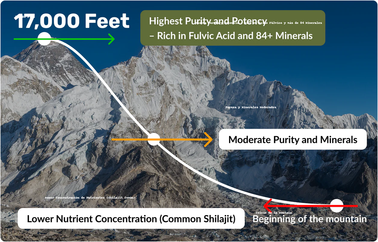 SHILAJIT DEL HIMALAYA NUTROTONIC® Orgánica Secada al Sol